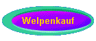 Welpenkauf